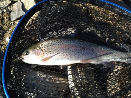 2ヶ月半ぶり釣行